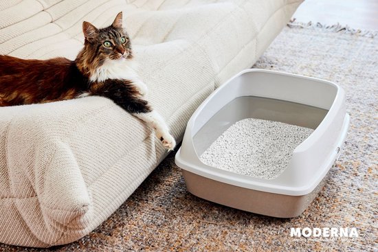 Kattenbak met witte rand en grijze onderbak, gevuld met wit grit. Langharige kat met groene ogen ligt ernaast.