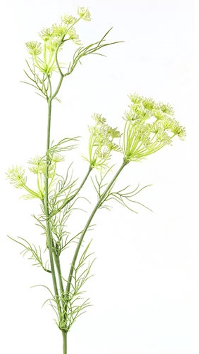 Countryfield Kunstbloem Daucus carota wit