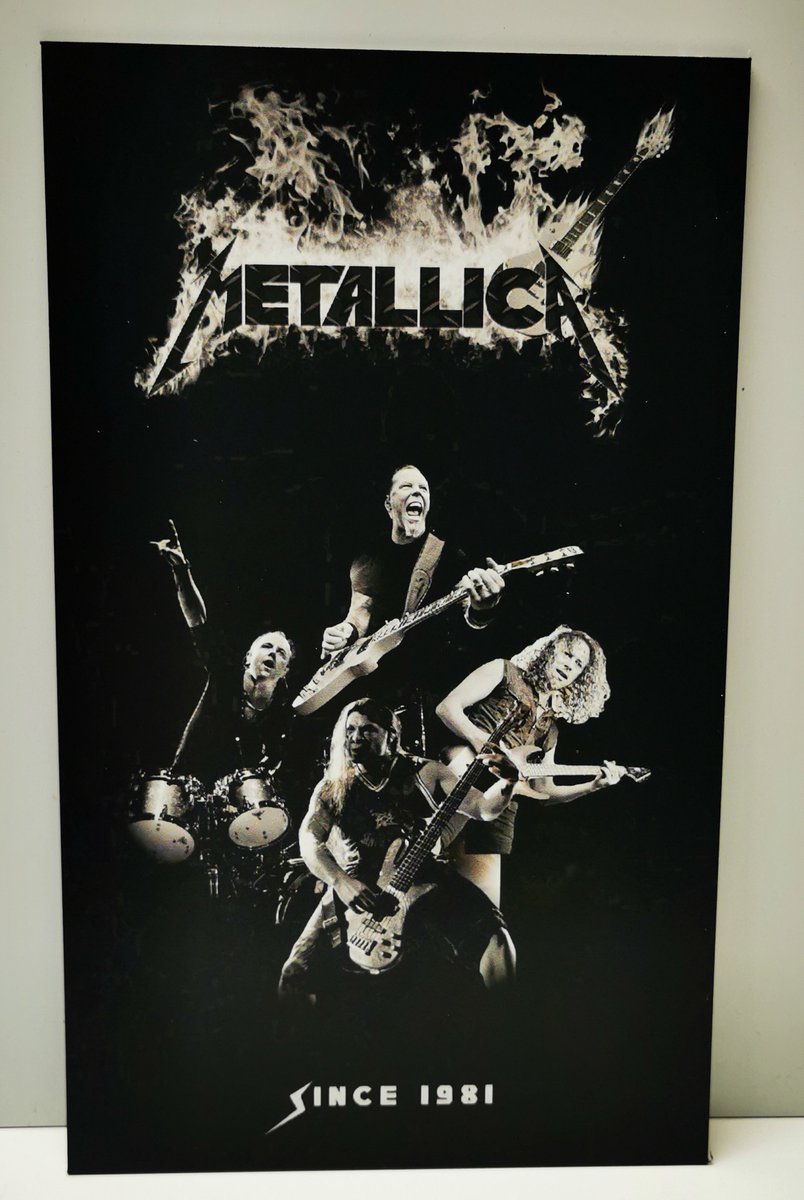 Metallica Wandbord - 18x30cm - Since 1981 - Dibond - Muziek - Wanddecoratie