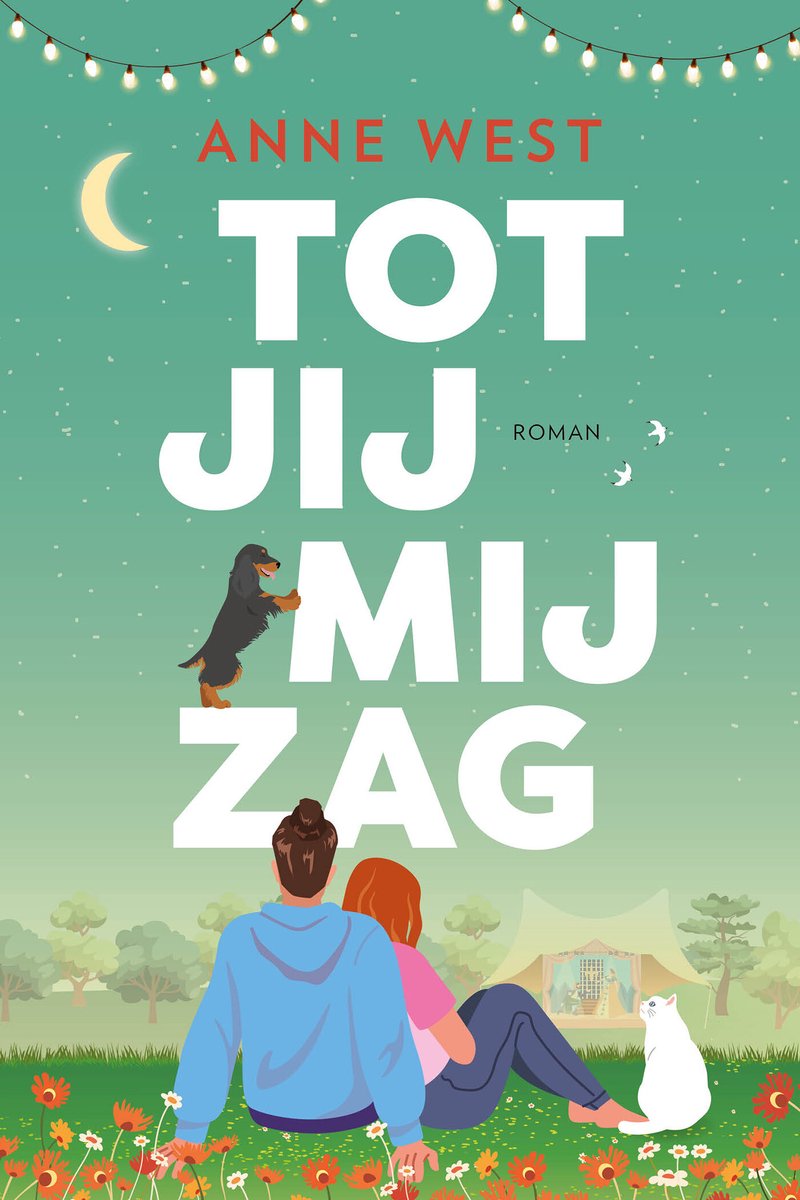 Omslag van Tot jij mij zag