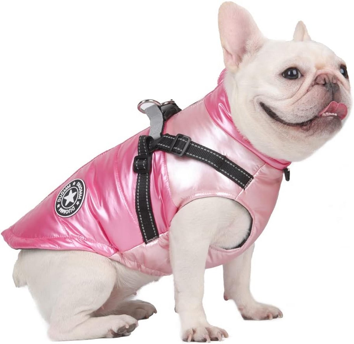 Waterdichte en Warme Hondenjas met Fleece Voering - Winddicht Winterjack voor Kleine tot Grote Honden