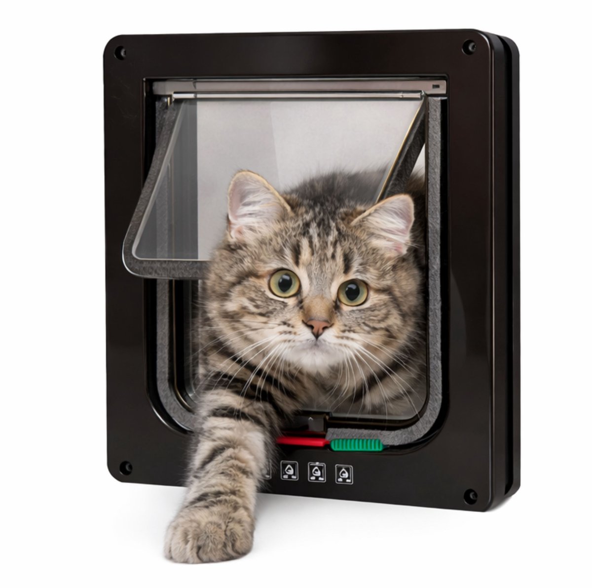 Bol.com AnimalAesthetics Kattenluik met Tunnel - Zwart - M - Voor Kleine & Middel-Grote Katten - Incl. Montageset en Handleiding aanbieding