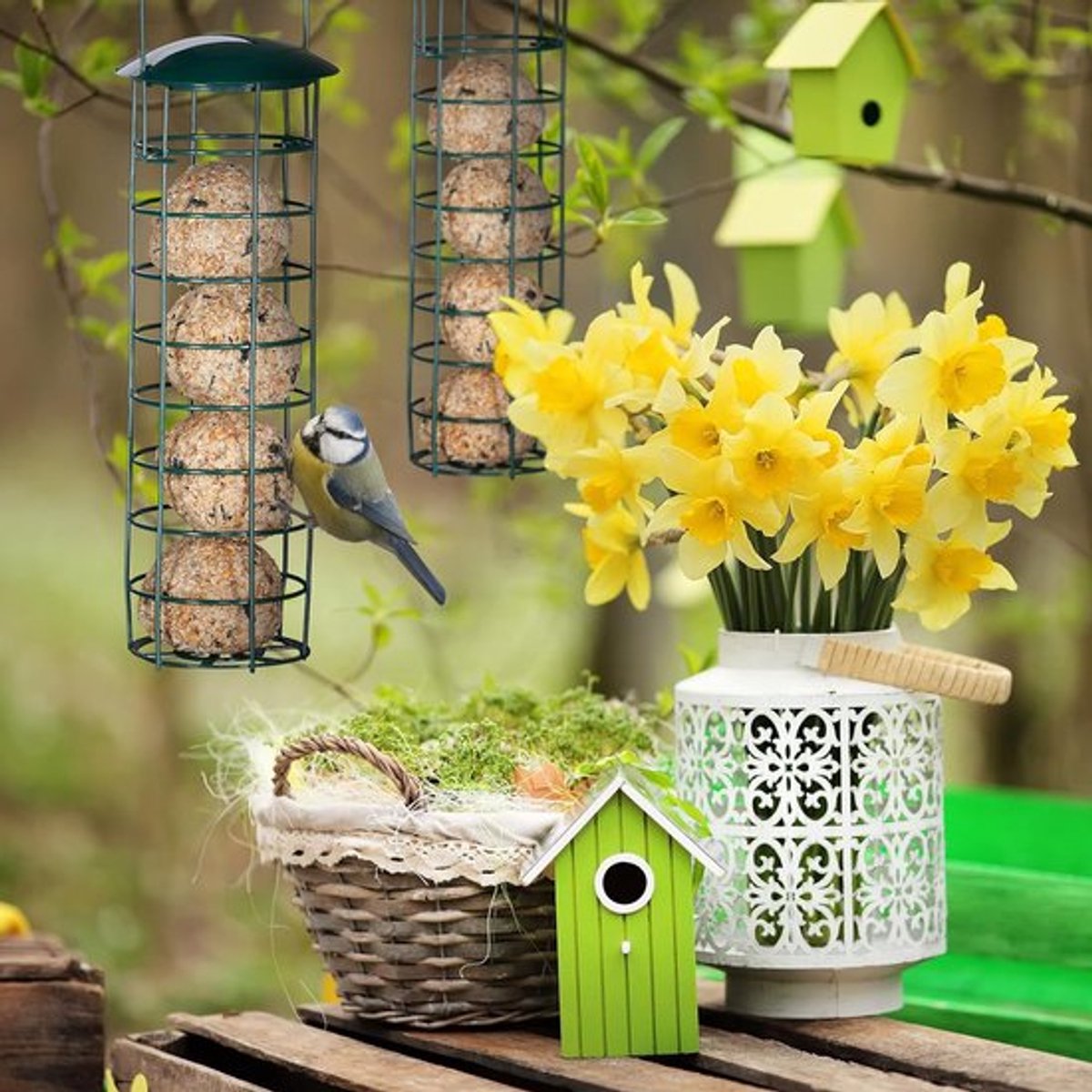 Candala Vetbolhouder set - Groen - 31 x 8,5 cm - set van 2 - Metaal
