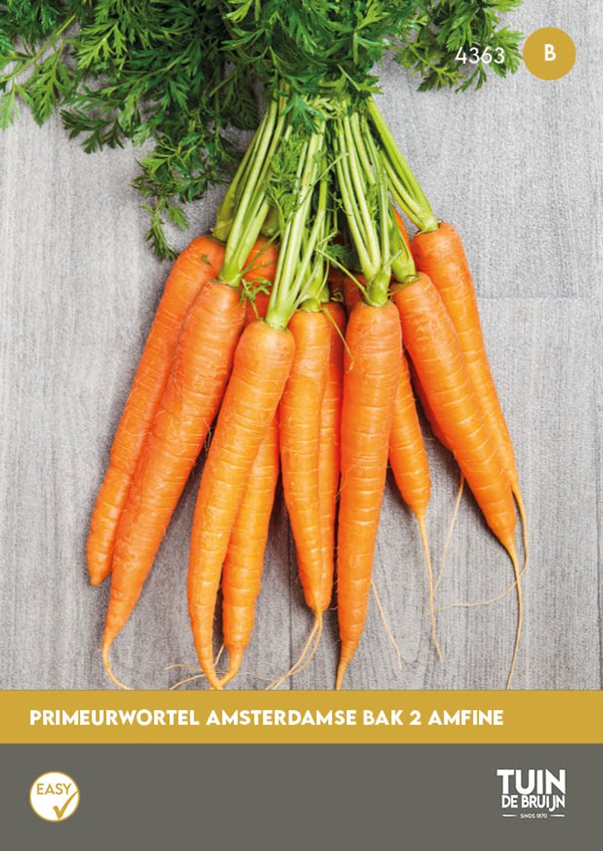 Wortel Zaden Amsterdamse Bak 2 Amfine – Primeurwortel – ±7500 Zaden – Vroege Zomerwortel – Zoete Smaak – Daucus Carota – Moestuin Groentezaad - Tuin de Bruijn® zaden