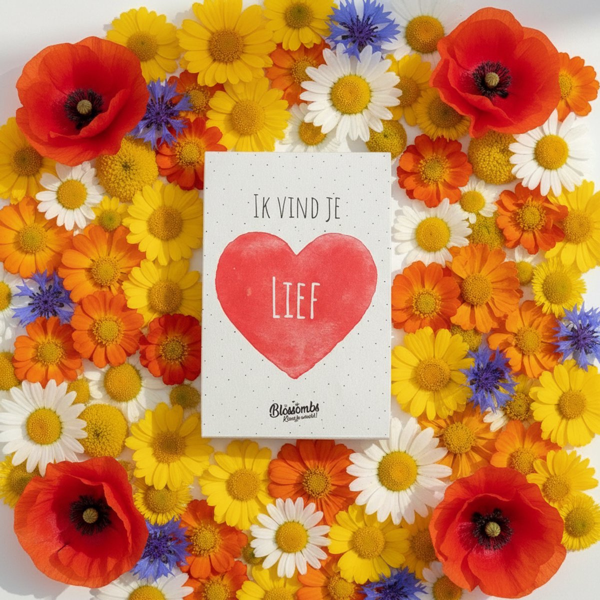 Blossombs-Giftbox-Mini-Hart-Ik vind je lief-Valentijn-Valentijnsdag-14 februari-vlinders-bijen-liefde-geliefde-4 stuks