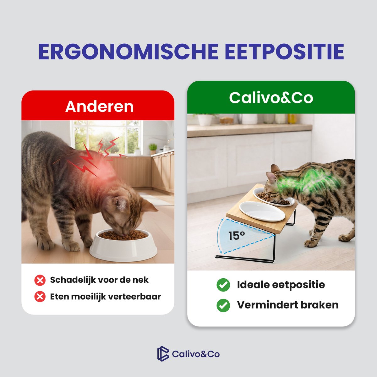 Calivo&Co® Verhoogde Katten Voerbak Vaatwasserbestendig - afbeelding 3