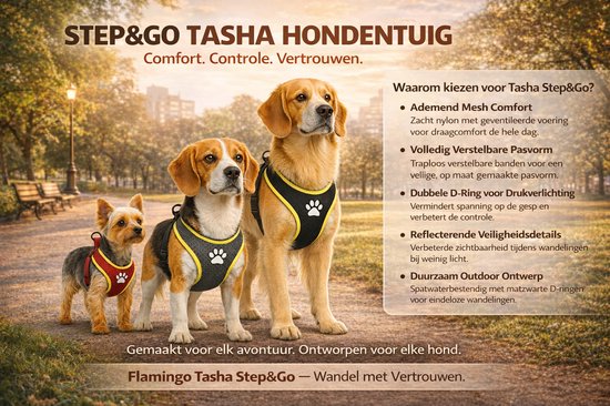 Drie honden van verschillende rassen met Flamingo Step&Go Tasha tuigjes in de natuur.