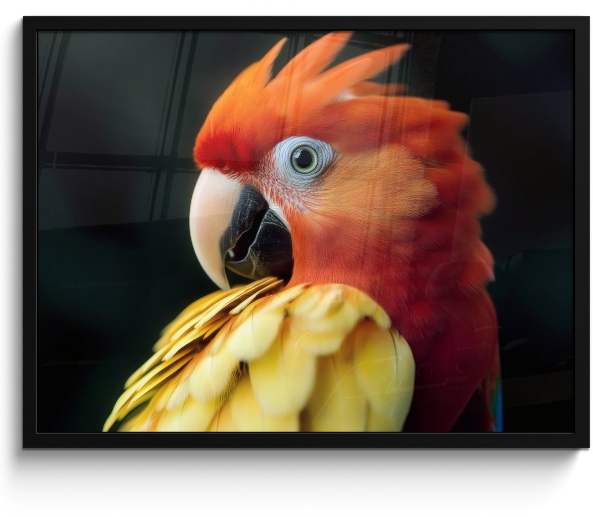 FrameYourWall Poster in lijst - Fotolijst 70x50 cm - Posters - Close-up - Papegaai - Veren - Oranje - Posterlijst zwart - Decoratie - Wanddecoratie woonkamer - Muurdecoratie slaapkamer