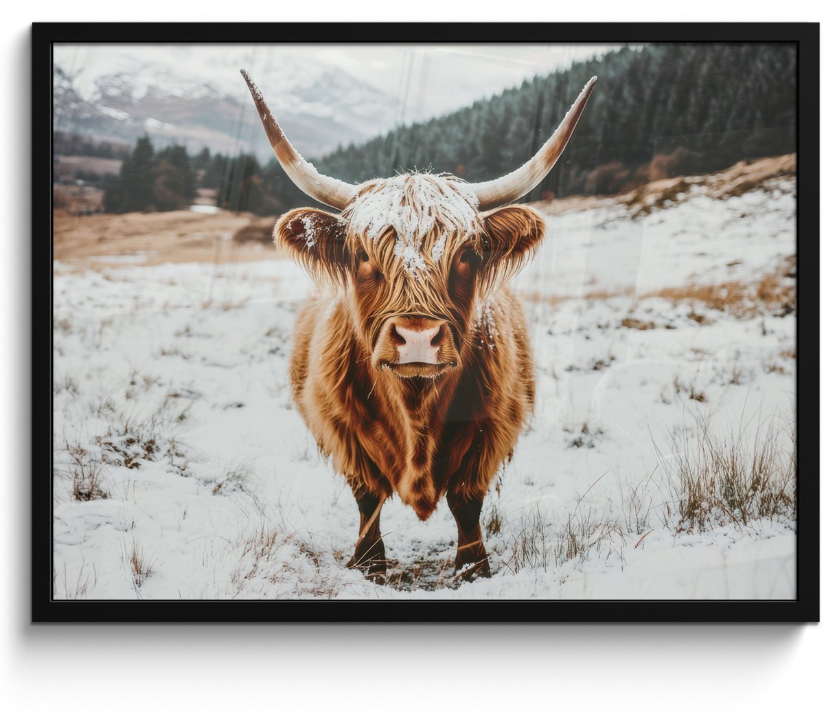FrameYourWall Poster in lijst - Fotolijst 70x50 cm - Posters - Schotse Hooglander - Landschap - Sneeuw - Bergen - Winter - Posterlijst zwart - Decoratie - Wanddecoratie woonkamer - Muurdecoratie slaapkamer Schootse Hooglander