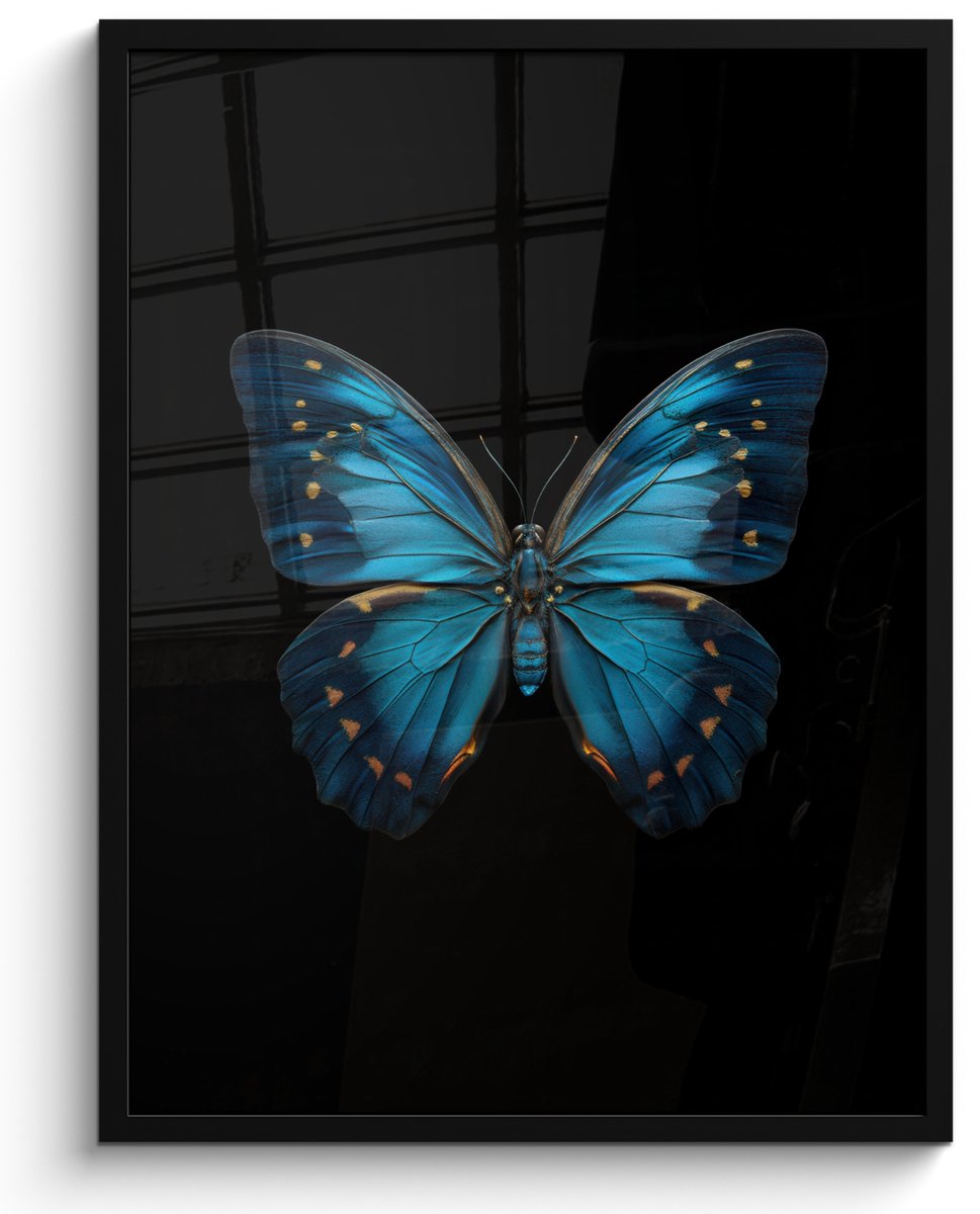 FrameYourWall Poster in lijst - Fotolijst 50x70 cm - Posters - Vlinder - Blauw - Contrast - Posterlijst zwart - Decoratie - Wanddecoratie woonkamer - Muurdecoratie slaapkamer