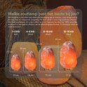 Vier Orakl zoutlampen van verschillende groottes (1-2kg tot 12-15kg) met afmetingen.