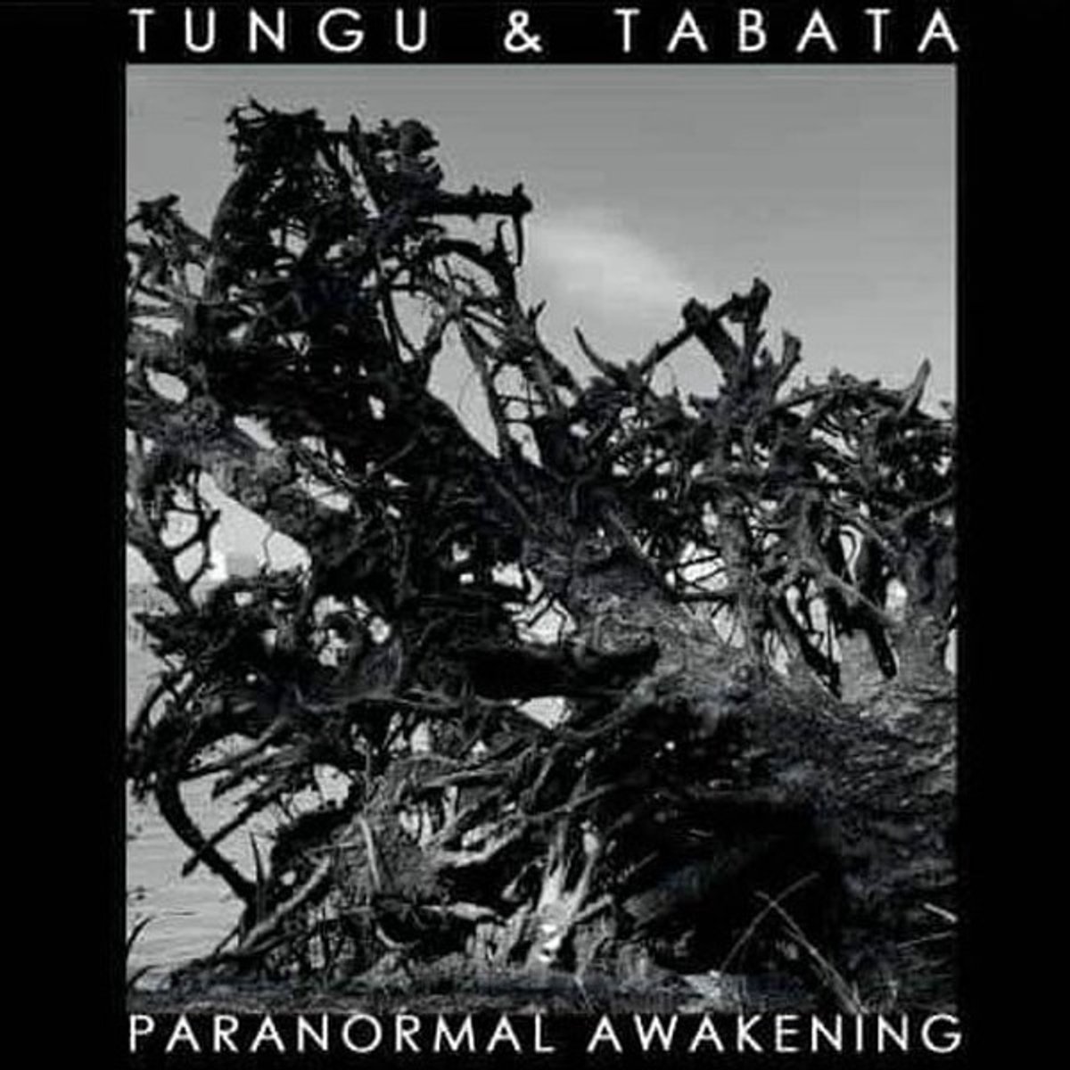 Tungu & Tabata - Paranormal Awakening (CD)