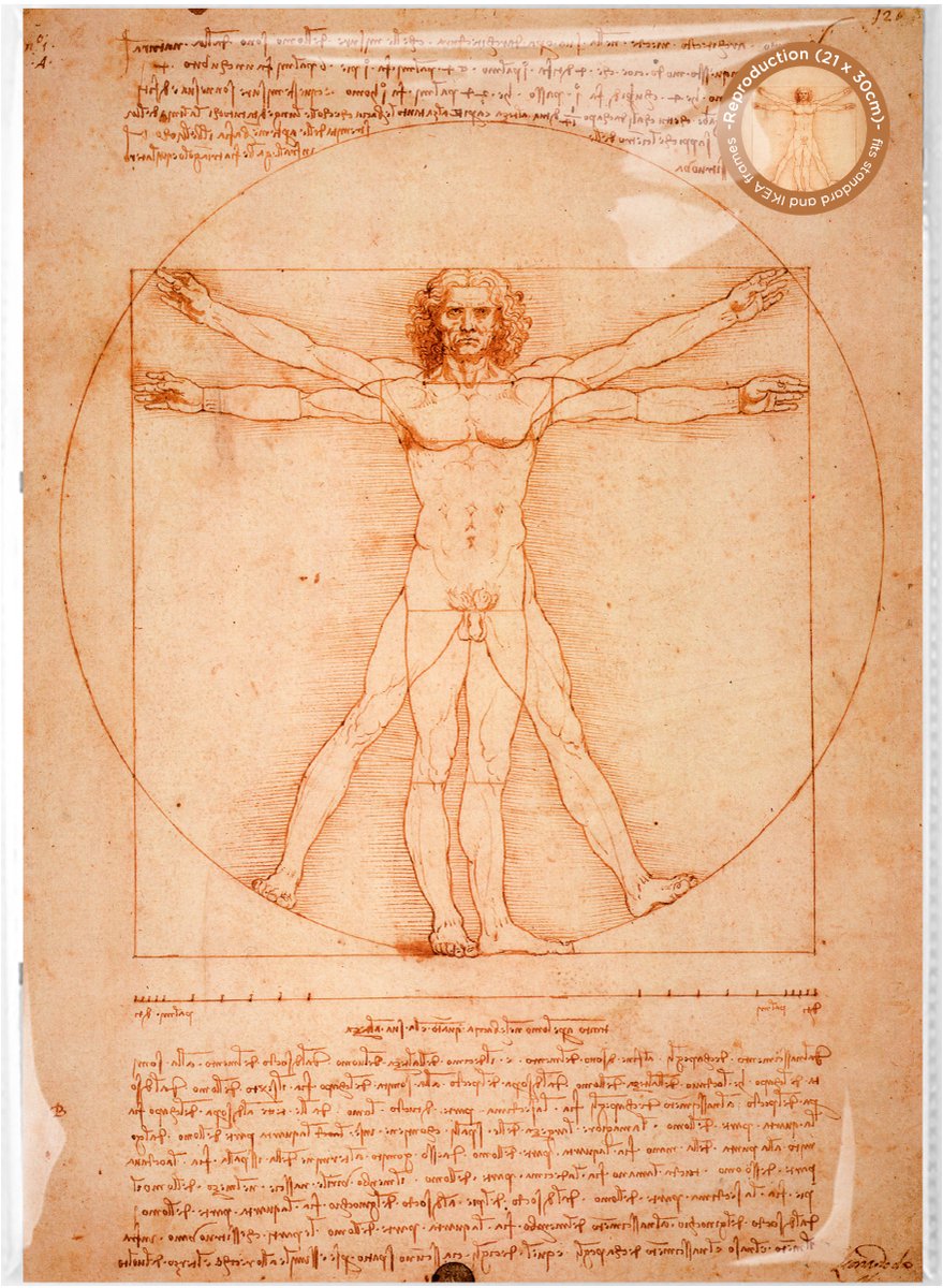 Lanzfeld (museumwebshop.com) Lanzfeld Da Vinci - Poster Schilderij A4 - Vitruviaanse Man - Leonardo da Vinci - PP Hoes Da Vinci - Vitruviaanse Man