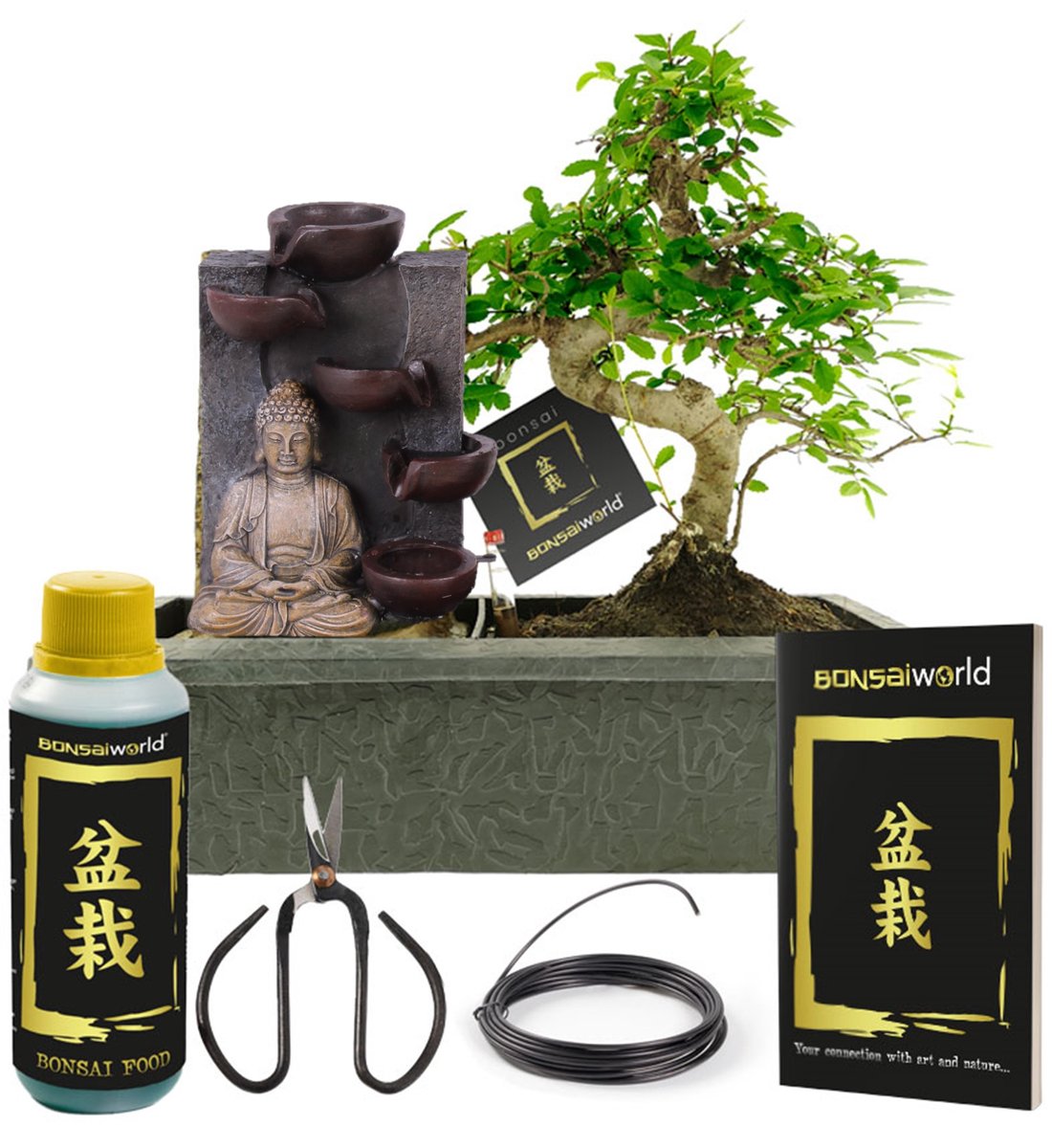 vdvelde.com - Bonsai boom S-vormig ca. 10 jaar met Boeddha waterval - Compleetset met easy-care watersysteem, bonsaischaar, voeding en binddraad - Indoor kamerplant - Cadeau set