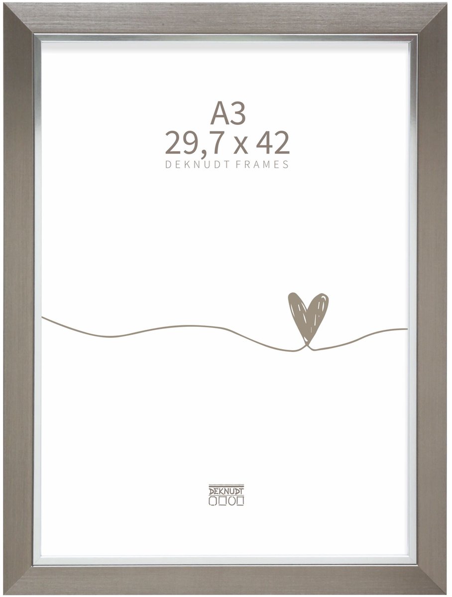Deknudt Frames fotolijst S45VD1 - zilver met zilverbies - A3 - 29,7x42