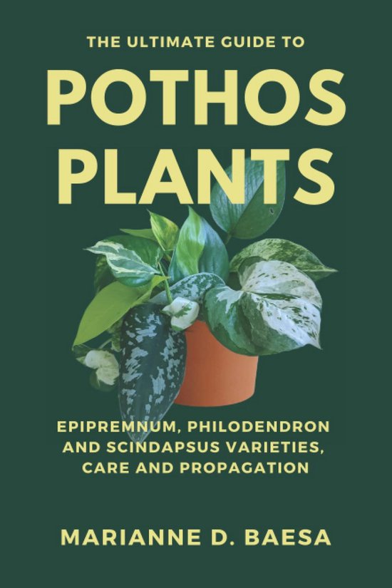 Gids voor Pothos Planten: Soorten, Verzorging en Stekken van Epipremnum, Philodendron...
