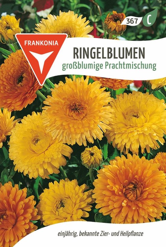 Goudsbloem, grootbloemige gemengde variëteit - bloemzaden Goudsbloemzaden Zaden