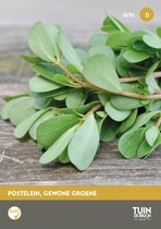 Tuin de Bruijn Groene Postelein Zaden - Portulaca oleracea - 3 g