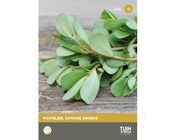 Tuin de Bruijn Groene Postelein Zaden - Portulaca oleracea - 3 g