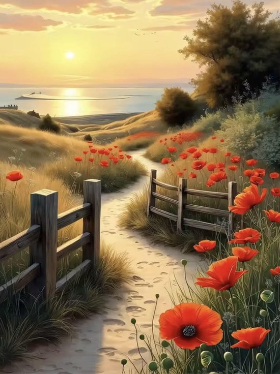 Diamond Painting Coucher du soleil avec Coquelicots paquet – 30x40 - Diamond painting adultes - Petites pierres carrées – Complete Set