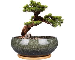 Keramische Bonsai Pot van 20 cm - Glanzend, Ondiepe Succulent Pot met Afvoergaatje en Bamboe Schotel voor Binnenplanten