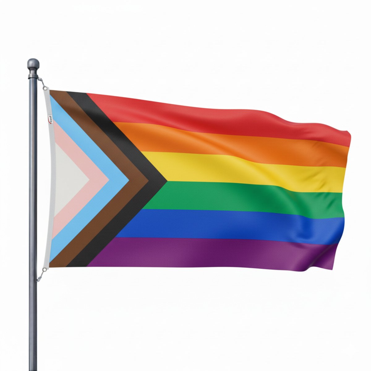 Trasal - Progress Pride LGBT flag - progress vlag - 150x90cm