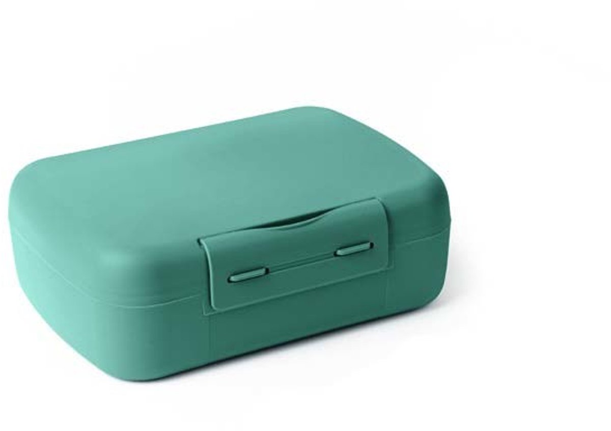 Day To Day Brunchbox Reef Green - 1400 ml - Lunchbox met Vakverdeling en Stickers - Praktische Broodtrommel - BPA-vrije Lunchtrommel - Brooddoos Gemaakt in België - 210x150x75mm