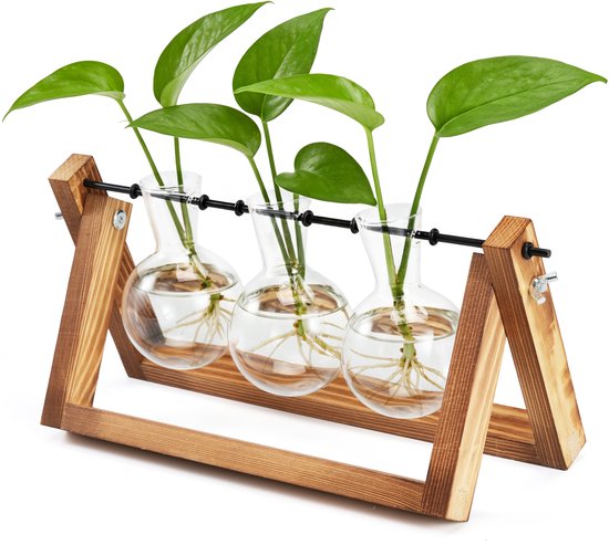 YONO Stekstation met Houten Standaard - Stekjes Plant Terrarium Decoratie - Stek...