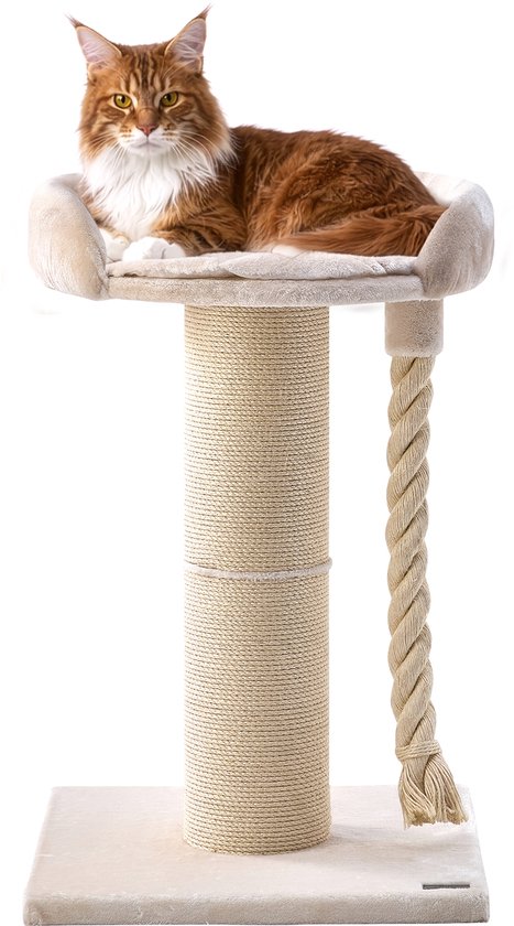 Grand chat Maine Coon orange sur un griffoir beige avec panier et corde à jouer sur fond blanc.