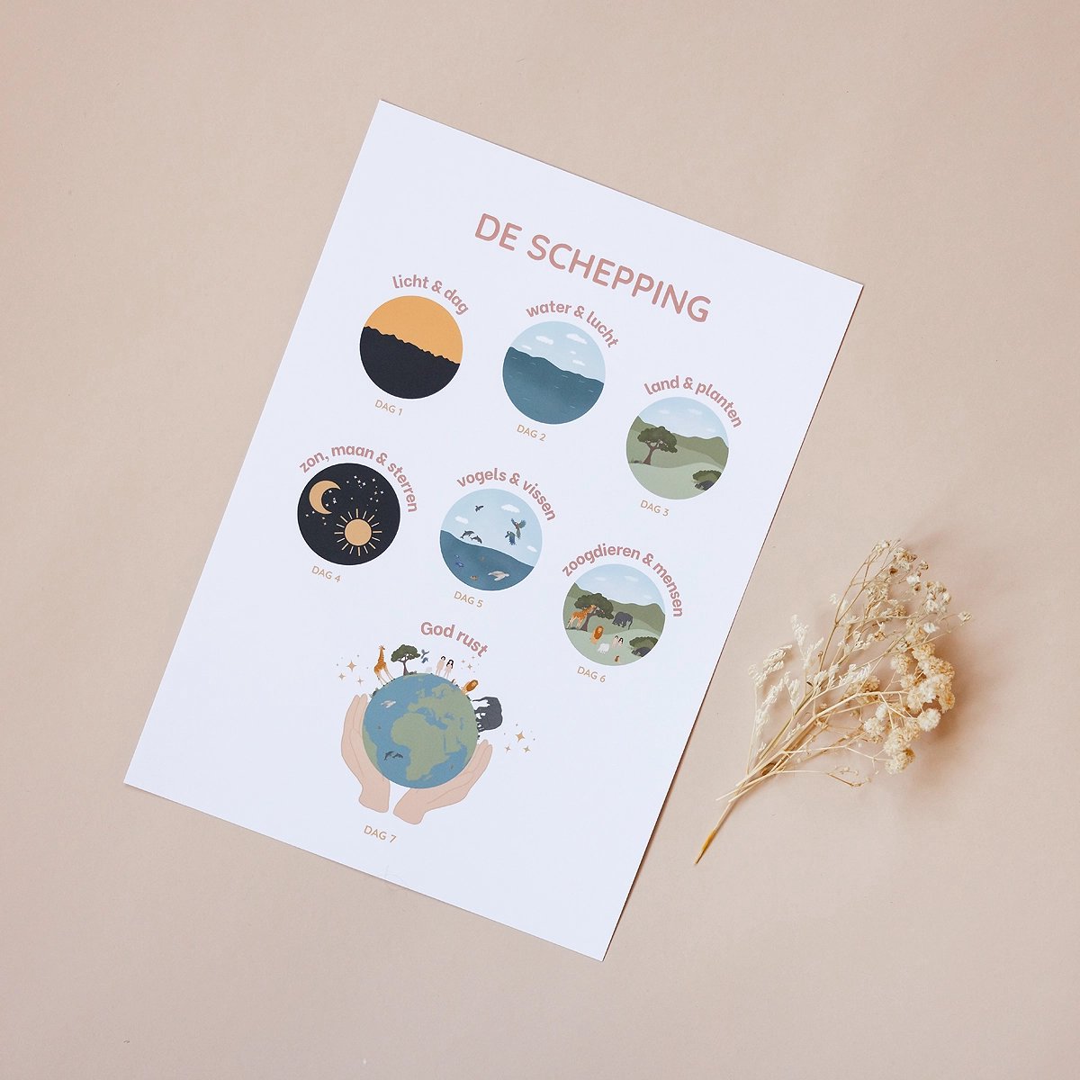 De Schepping van God A4 poster | Kinderposter | Christelijke poster | Poster Babykamer | Poster kinderkamer | Christelijk cadeau kind | Wanddecoratie kinderkamer | De Schepping van God