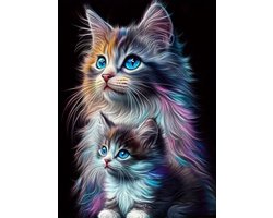 Diamond painting – 30x40 -ronde steentjes – Poes – Poesjes - hobby – bezigheid – vrije tijd – cadeau – geschenk – feest – feestdagen