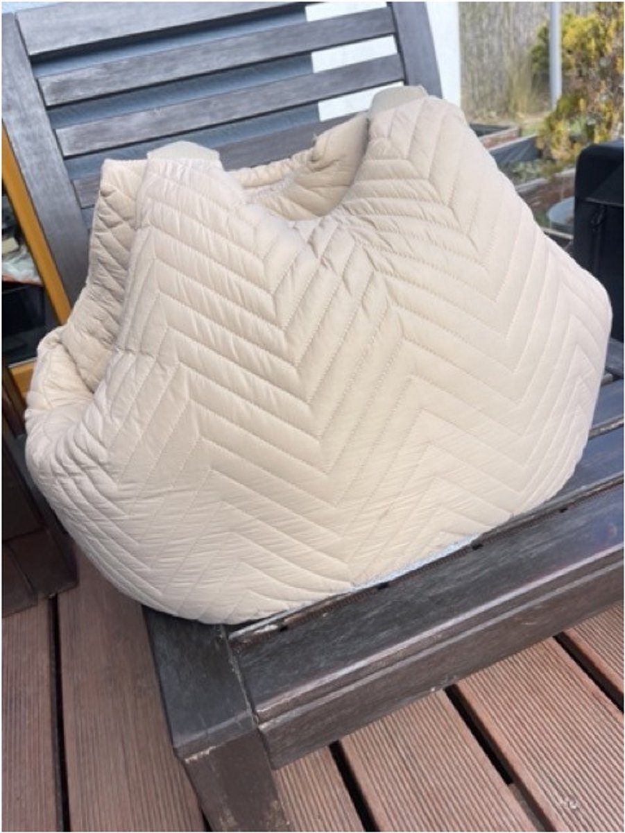 Petrive AirFlow Kattenrugzak & Hondenrugzak – Beige - Ademend Mesh Design – Huisdier Backpack voor Kleine Hond of Kat – Comfortabele Draagtas