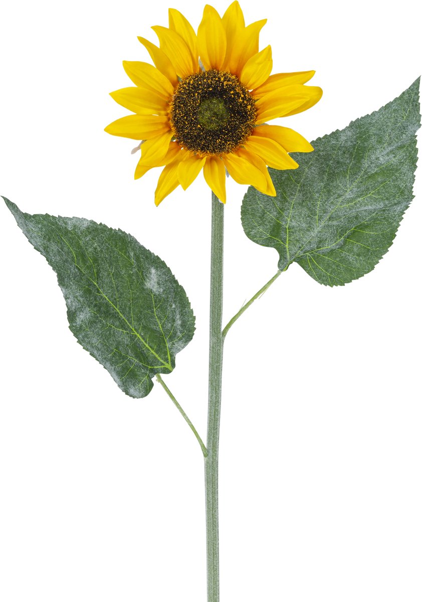Easyplants | Kunst zonnebloem 52 cm geel | Zijde | Nepbloemen | geel | Onderhoudsvrij | Kant-en-klaar
