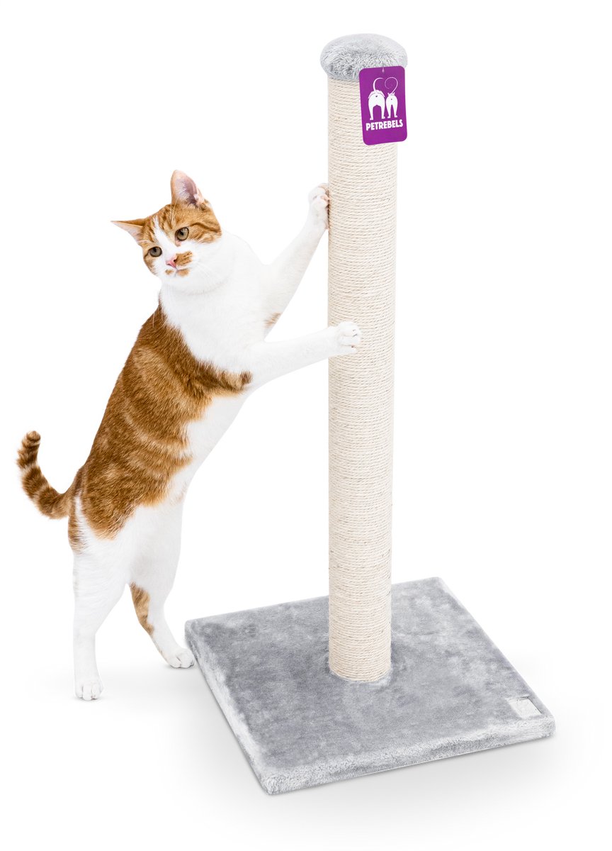 Bol.com Petrebels Maine 90 krabpaal - Grijs - 40 x 40 x 90 cm - extra stabiel aanbieding