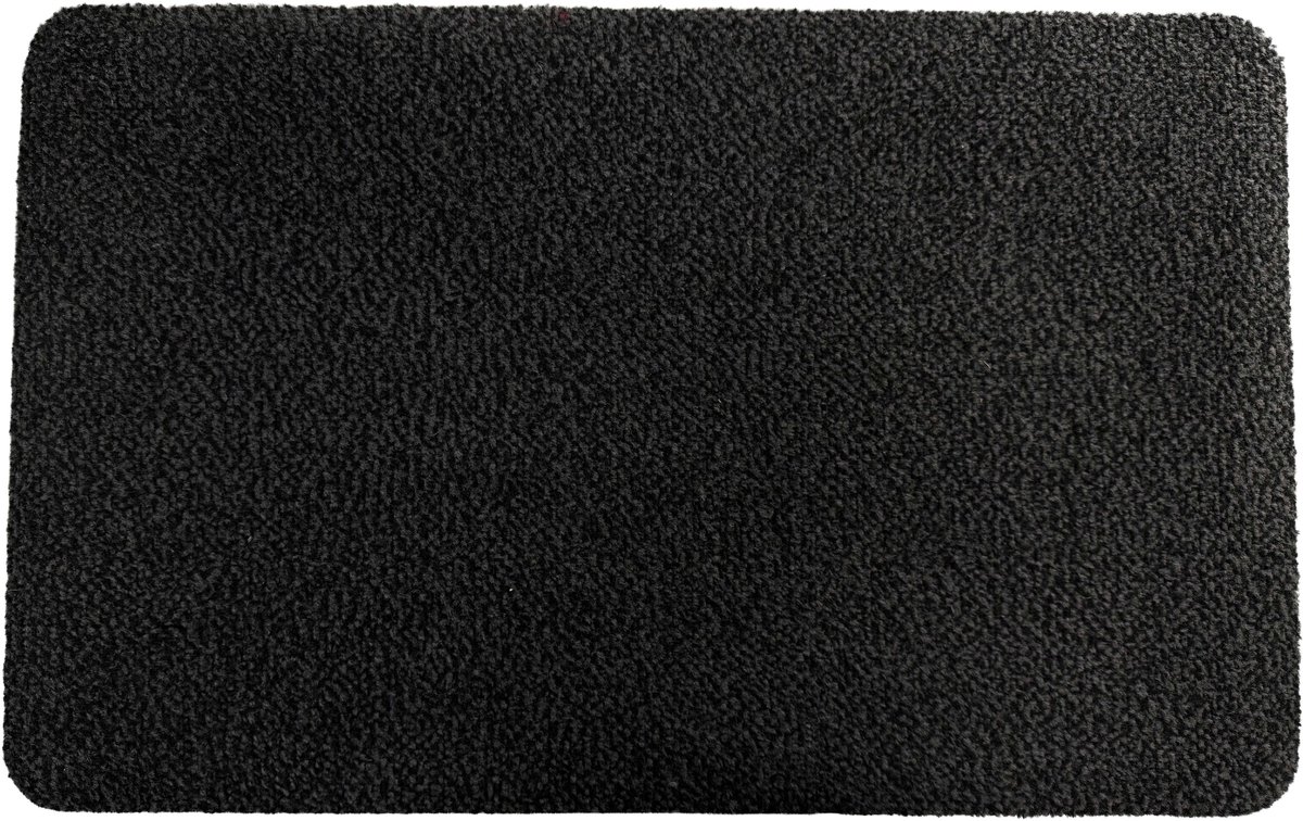 Schoonloopmat - Droogloopmat - Deurmat - 55 x 35 cm - Antraciet