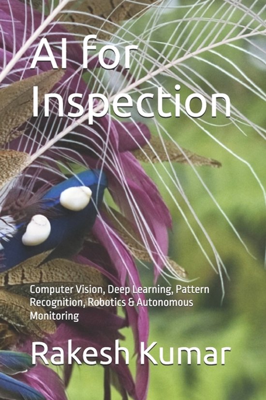 AI for Inspection: Computer Vision, Deep Learning, Pattern Recognition ...