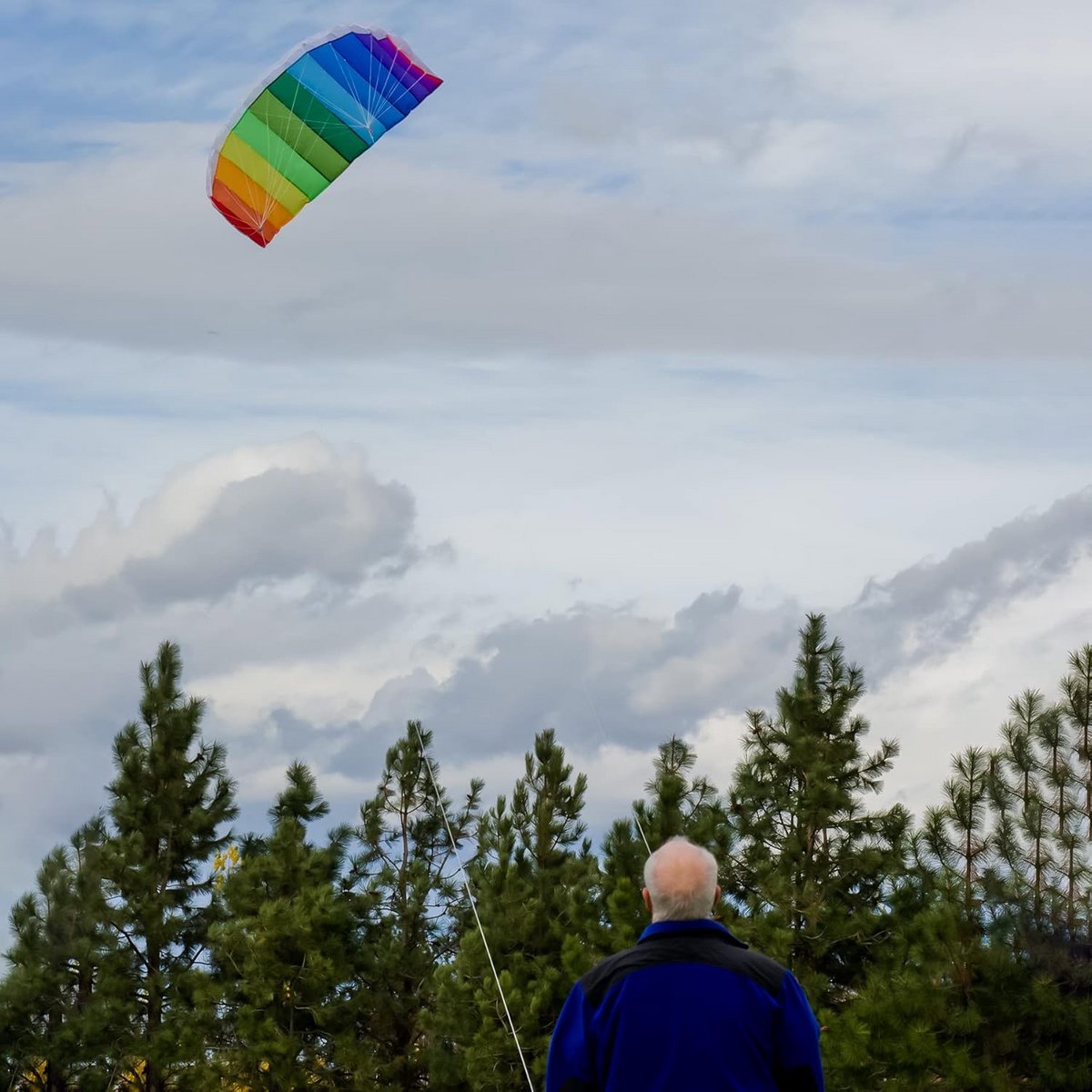 Grote Sport Stuntvlieger Regenboog 62 inch - Dubbele Lijn Parafoil Inclusief Lijn en Tas
