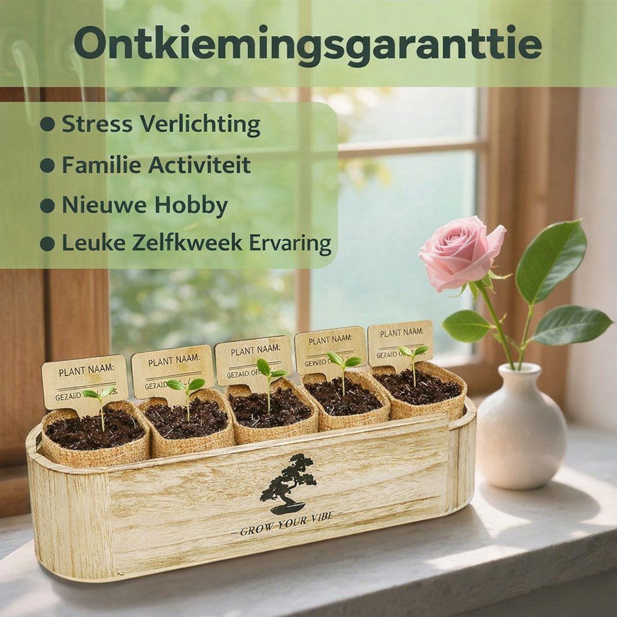 Luxe Bonsai Starters Kit – 5 Soorten Bonsai Zaden – 25-delige Kweekset met Tuinset – Inclusief Nederlandse Instructies – Bonsai Binnen Kweken – Perfect Cadeau — cadeau in Hobby - foto 5