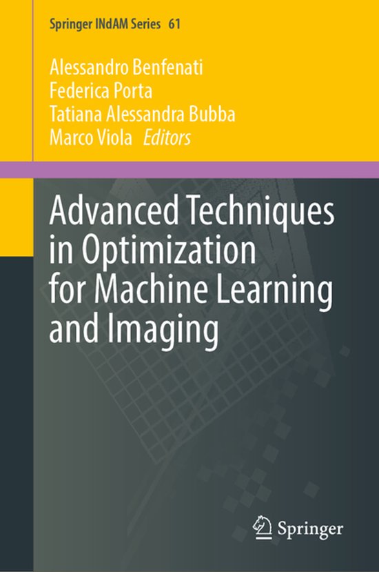 Springer INdAM Series61- Advanced Techniques in Optimization for ...