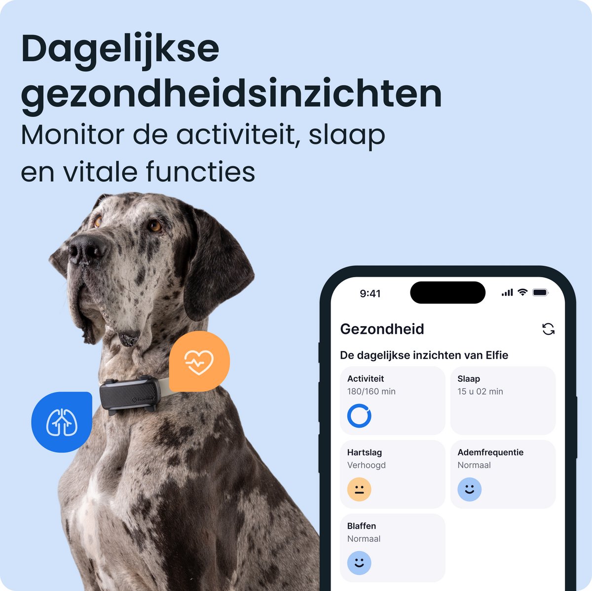 Tractive DOG 6 XL – Slimme gps-tracker voor honden met monitoring van vitale waarden en gezondheidswaarschuwingen, 6 weken batterijduur – Zwart thumbnail 7