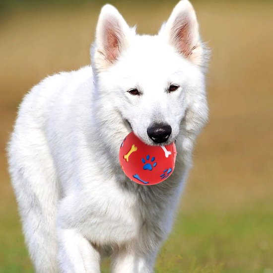 Witte hond met een rode bal met bot- en pootafdrukken in zijn bek, rennend in een buitengebied.