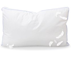 Natuurlijk Donskussen - Veren Kussen - Comfortabel Slapen - Gemaakt in Italië - 80x50 cm - Goud