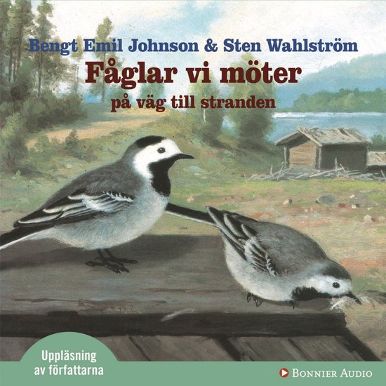 Fåglar vi möter på väg mot stranden - cover