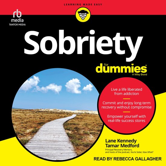 Sobriety For Dummies - cover