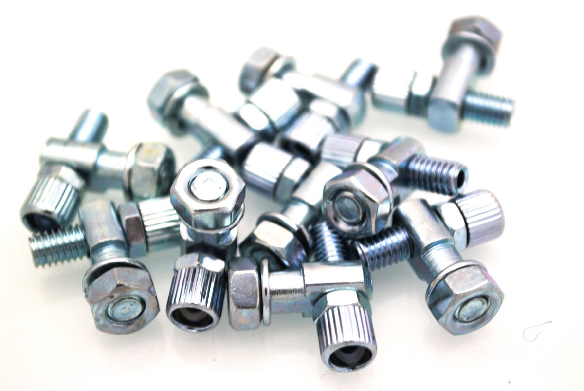 Raion Alhonga 360D - Remcaliper Instelschroef - M6 - 25mm - Inclusief Borgmoer
