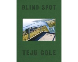Omslag van Blind Spot