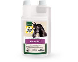 VITALstyle Silicium + - Paarden Supplement - Unieke Gepatenteerde Vorm Van Silicium - Met MSM & Glucosamine - 1 L
