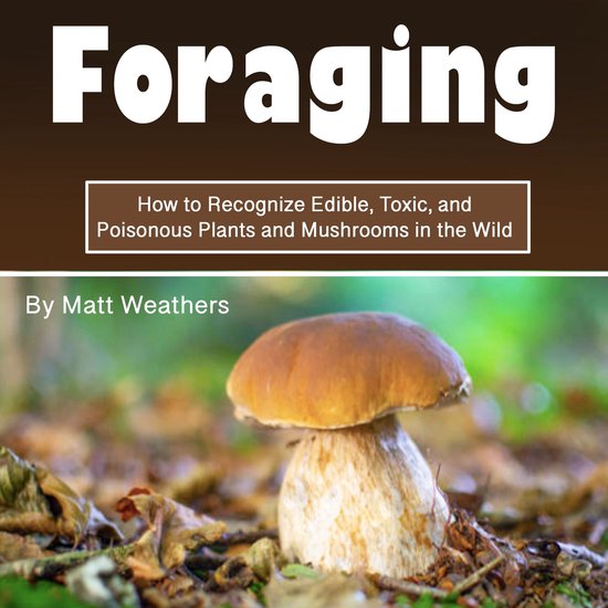 Foraging - cover