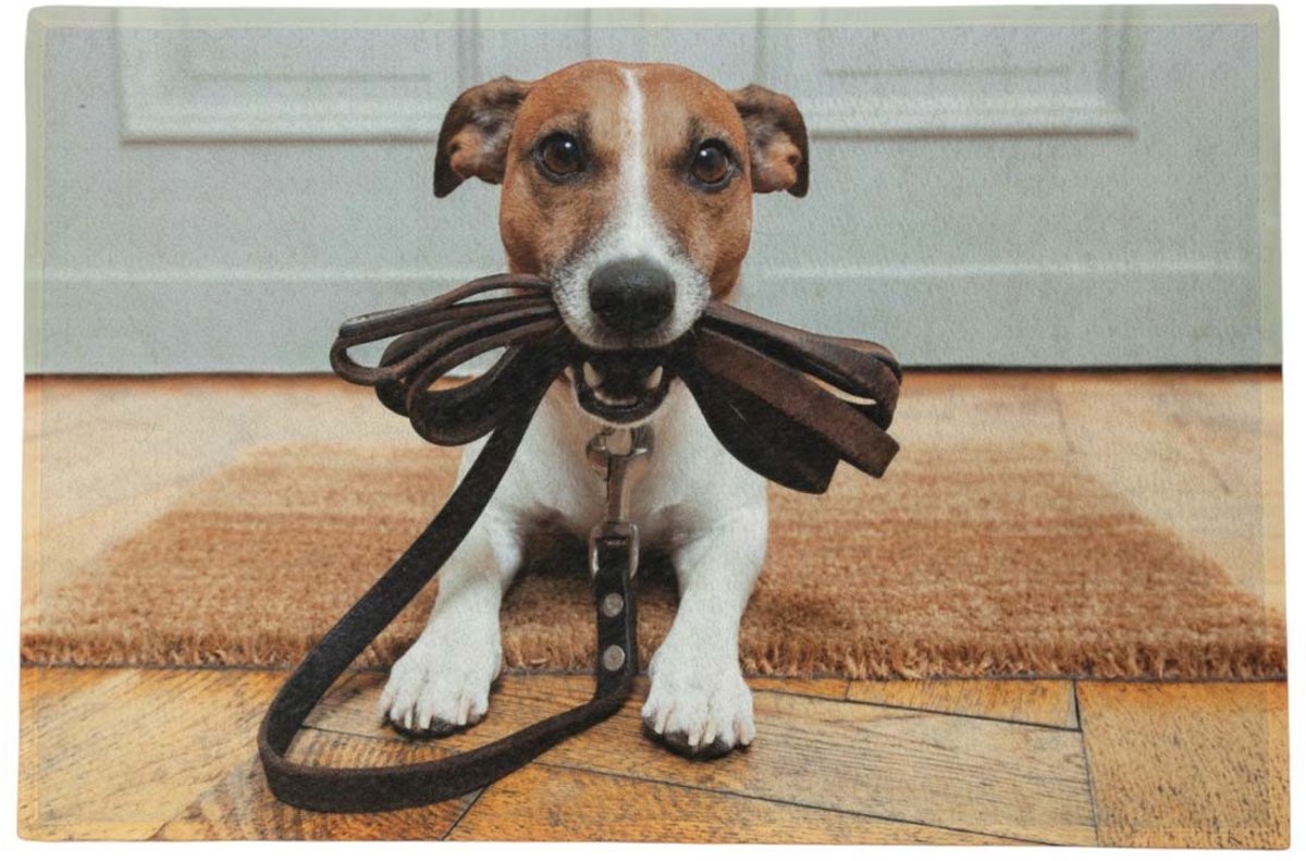 deurmat humor jack russell 75x50cm