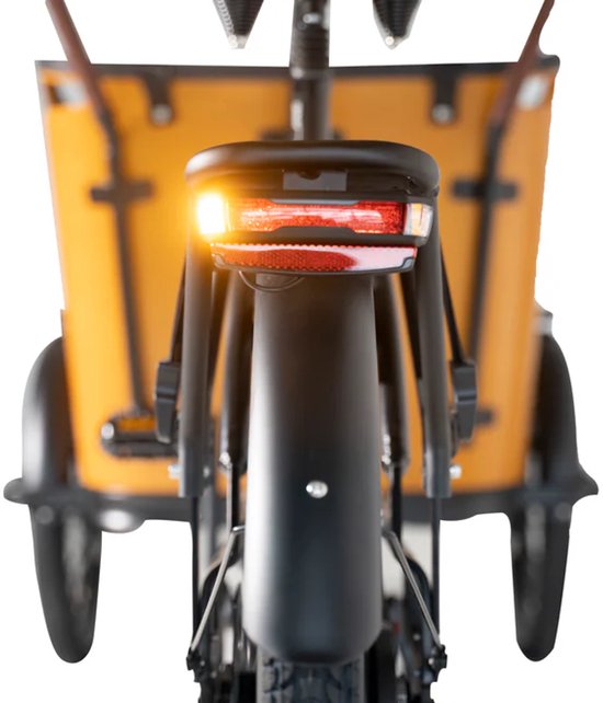 CabooCargo Bakfiets Family Cargobike 7 versnellingen Enviolo 48V 13.4Ah — afbeelding 4